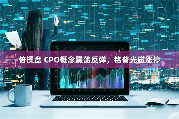 倍操盘 CPO概念震荡反弹，铭普光磁涨停