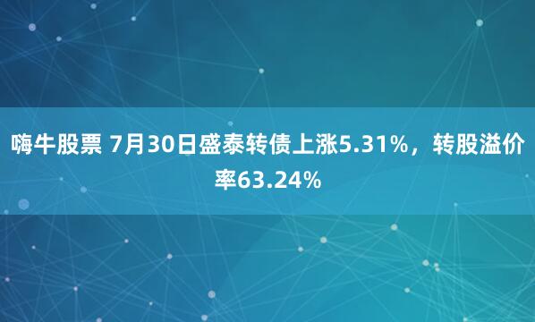 嗨牛股票 7月30日盛泰转债上涨5.31%，转股溢价率63.24%