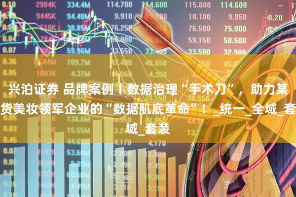 兴泊证券 品牌案例丨数据治理“手术刀”，助力某国货美妆领军企业的“数据肌底革命”！_统一_全域_套装