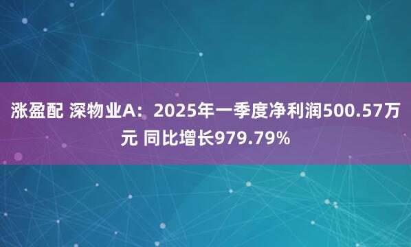 涨盈配 深物业A：2025年一季度净利润500.57万元 同比增长979.79%