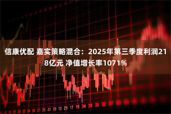 信康优配 嘉实策略混合：2025年第三季度利润218亿元 净值增长率1071%